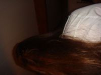 Welkome_200928.jpg